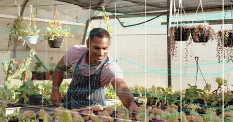 Gardener Examining Succulents in Greenhouse