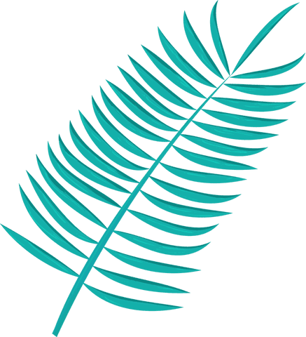 Stylized teal fern frond on transparent background