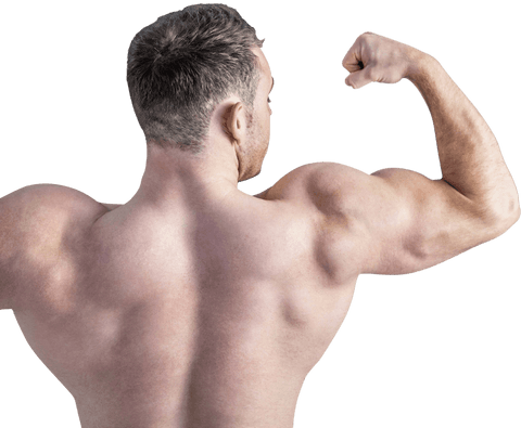 strong muscular male bodybuilder flexing back muscles on transparent background - Download Free Stock Videos Pikwizard.com
