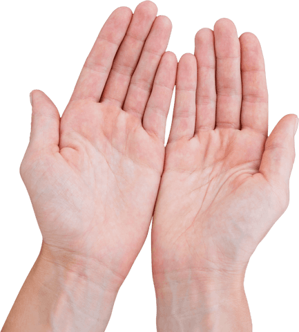 Transparent Photo of Outstretched Hands on White Background - Download Free Stock Videos Pikwizard.com