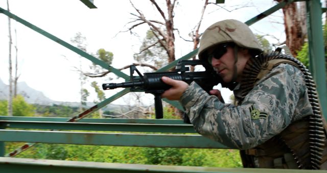 Military Soldier Aiming Rifle in Forested Area - Download Free Stock Images Pikwizard.com