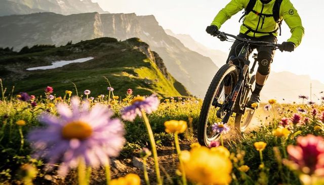 Riding mountain bike through alpine wildflower meadow at golden hour