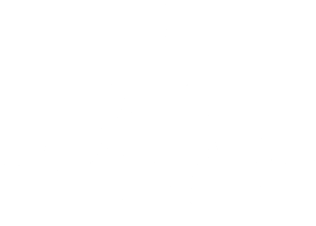 Silhouette of Weightlifter with Barbell on Transparent Background - Download Free Stock Videos Pikwizard.com