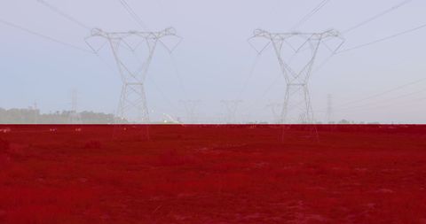 Flag of Poland Overlay on Power Lines for Ukraine Crisis Theme - Download Free Stock Images Pikwizard.com