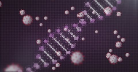 Digital Representation of Virus Cells and DNA Strand in Abstract Form