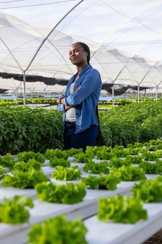 Confident African American Woman Supervising Eco-Friendly Hydroponic Farming