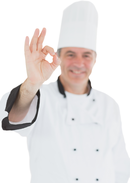 Transparent smiling chef gesturing ok sign enthusiastic professional cook approving - Download Free Stock Videos Pikwizard.com