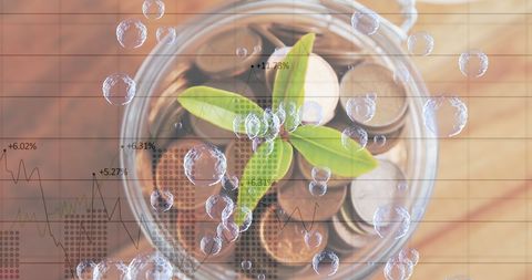 Young Plant Growing from Coins, Highlighting Financial Growth