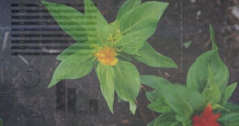 Innovative flora growth with digital data integration