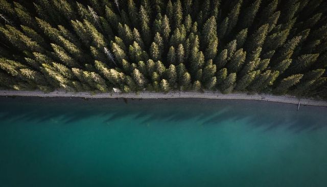 Aerial turquoise lakeshore with evergreen forest casting long shadows at golden hour