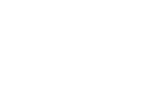 symmetrical skull pattern on transparent background - Download Free Stock Videos Pikwizard.com