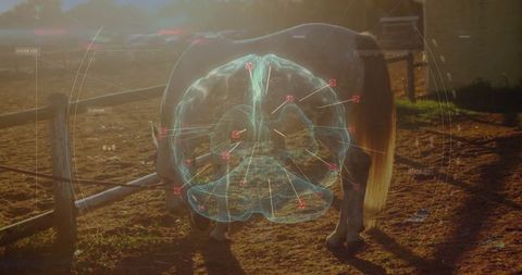 Augmented Reality Equine Health Scan in Paddock