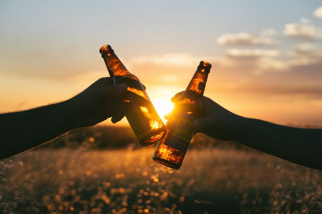 Sun shining through against hands toasting beer in grass fields. Party and celebration concept