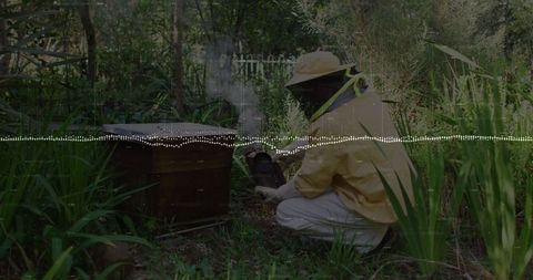 Beekeeper Smoking Hive for Honey Harvesting in Lush Garden