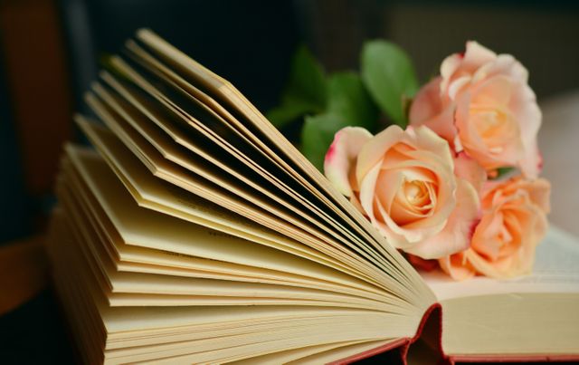 Open Book with Pages Fanning and Fresh Roses - Download Free Stock Photos Pikwizard.com