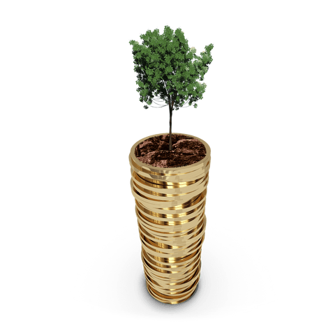 thriving tree on stacked transparent gold coins - Download Free Stock Videos Pikwizard.com
