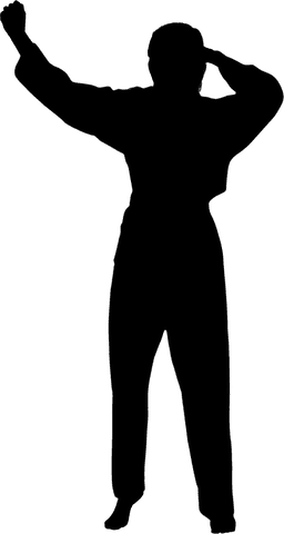 Transparent silhouette of female martial artist posing in action stance