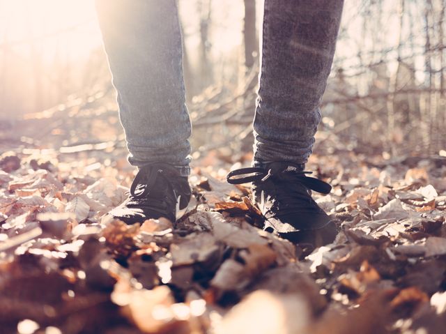 Image captures a person wearing black athletic shoes and jeans walking through an autumn forest park. Sunlight illuminates dry leaves on the ground. Perfect for use in outdoor activity promotions, fall season campaigns, hiking guides, or nature-themed projects.