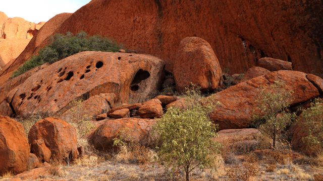 Red rock formations of Uluru with scattered desert vegetation demonstrating the iconic Australian landscape. Useful for travel promotions, educational materials about geology and geography, and cultural presentations about indigenous Australian heritage.