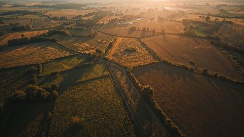 Aerial View of Countryside in Golden Light Highlighting Fields and Short Roads