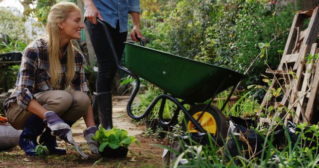 Two People Gardening Together with Wheelbarrow and Tools - Download Free Stock Images Pikwizard.com