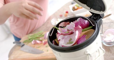 Composting Vegetable Waste at Home for Sustainable Living