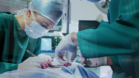 Surgeons in Action with Digital Data Overlay in Operating Room