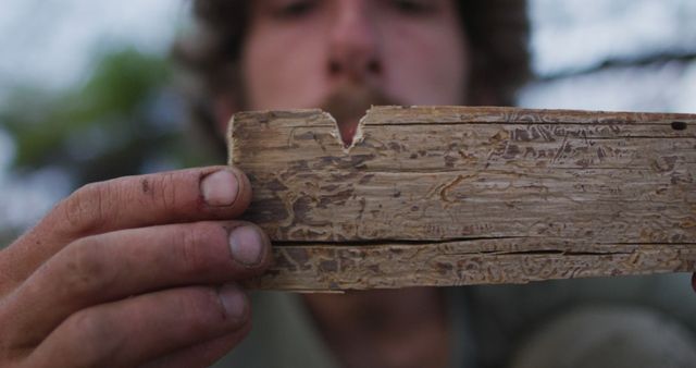 Close-up of Person Inspecting Aged Wooden Piece - Download Free Stock Images Pikwizard.com