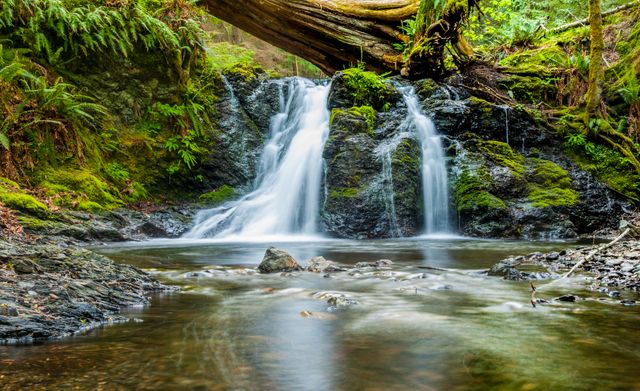 Ideal for use in travel blogs, nature magazines, and outdoor adventure promotions. This captivating image of a serene forest waterfall with gentle flowing water exudes peace and tranquility, making it perfect for eco-friendly campaign materials and stress-relief visuals. The lush greenery and moss-covered rocks add a sense of untouched beauty and wilderness.