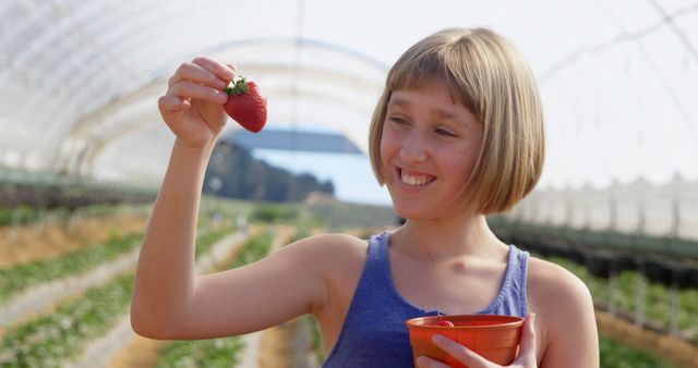 Young girl enjoying a day at an organic farm, picking fresh strawberries in a greenhouse. This image can be used for promoting sustainable farming, organic produce, children’s outdoor activities, healthy living, and agriculture-related content.