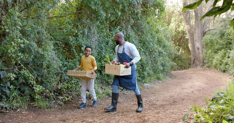African american father and son harvesting produce on sunlit woodland trail
