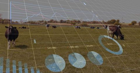 Data Analytics Projection on Livestock Grazing Farmland Scene