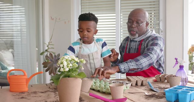 African american grandfather and grandson planting on sunny terrace. Lifestyle, childhood, free time, family, togetherness, organic nature, gardening and domestic life, unaltered.