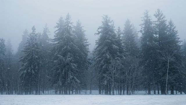 Snow-laden Evergreen Forest Edge with Falling Snow and Misty Blue Winter Atmosphere