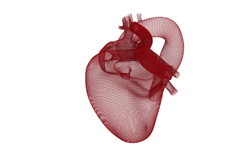 transparent 3d vector model of human heart anatomy - Download Free Stock Videos Pikwizard.com