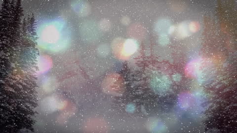 Enchanting Winter Forest with Bokeh and Falling Snow