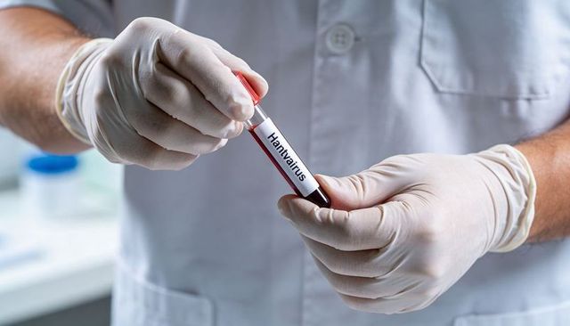 Laboratory technician capping hantavirus blood vial in gloved hands closeup for clinical testing