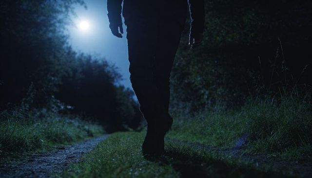 Lone man walking moonlit forest trail night backlit silhouette mysterious atmosphere
