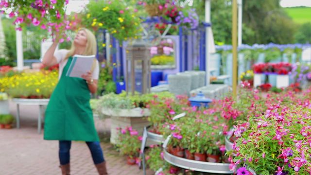 This video depicts a garden center worker with a notepad among vibrant flower displays. Ideal for use in content related to gardening, horticulture, plant nurseries, professional horticulture services, botanical planning, and outdoor business activities.