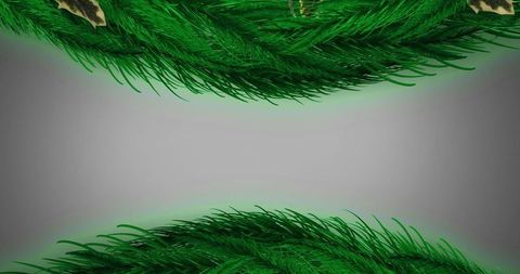 Festive Fir Tree Branches Frame on Neutral Background
