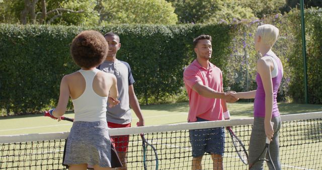 Four tennis players, two men and two women, greeting each other after a match. Displaying sportsmanship and camaraderie. Can be used for themes relating to sports, teamwork, and outdoor activities.