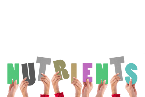 Diverse Hands Holding Nutrients Text on Transparent Background - Download Free Stock Videos Pikwizard.com