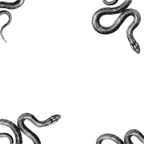 coiling snakes on transparent background: monochrome vector illustration - Download Free Stock Videos Pikwizard.com