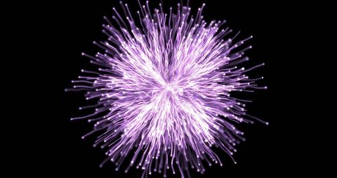 Vibrant Purple Fireworks Display on Dark Background