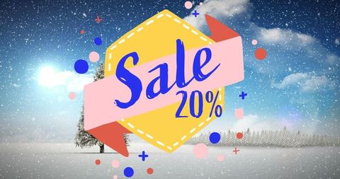 Winter wonderland sale: festive 20% discount promotion