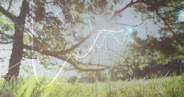Eco Data Visualization Overlay in Sunlit Natural Landscape