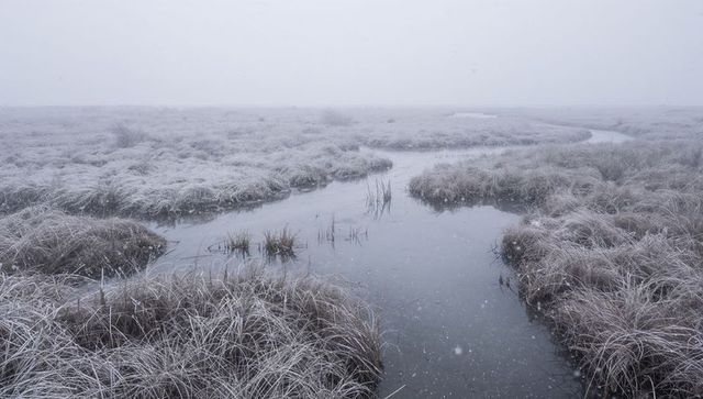 Winding frosted marsh channel in snowy wetland with misty horizon and snowfall