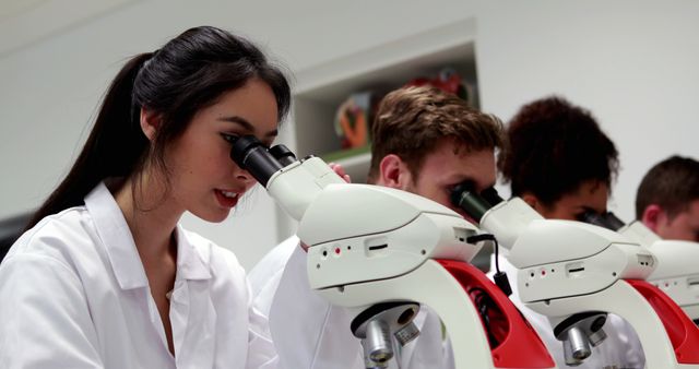 Scientific Researchers Using Microscopes in Laboratory - Download Free Stock Images Pikwizard.com