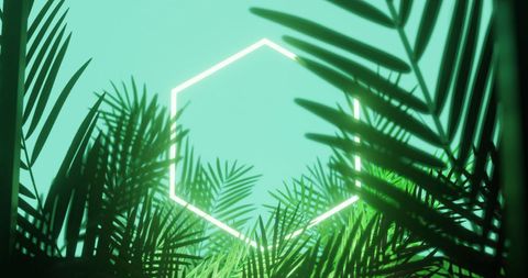 Neon Hexagon Surrounded by Vibrant Leaves on Blue Background