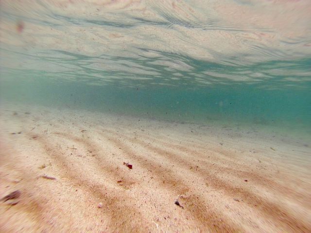 Underwater Beach Scene with Sandy Seabed and Clear Water - Download Free Stock Photos Pikwizard.com